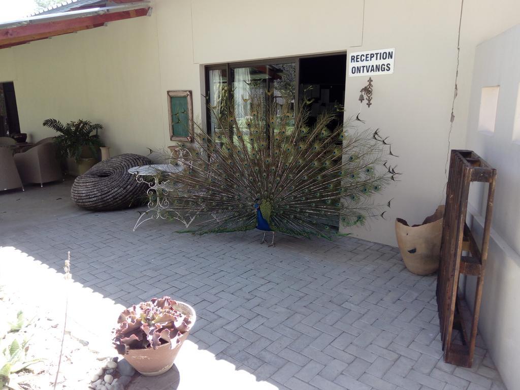 Xain Quaz Camp Hotel Gobabis Ngoại thất bức ảnh